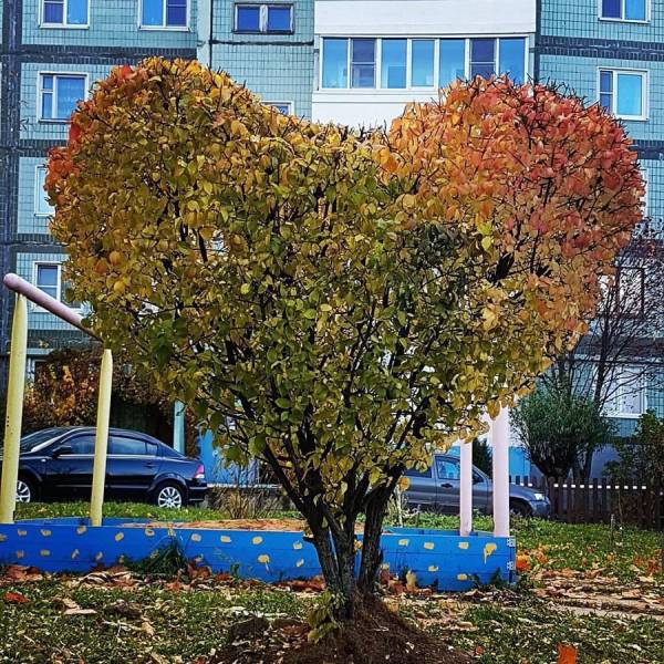 daily picdump 102 pics 38.html - 102 HD Photos | Premium Gallery 2017