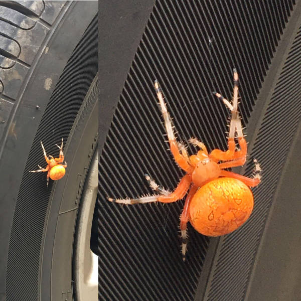 morning picdump 54 pics 17.html - 54 HD Photos | Premium Gallery 2017