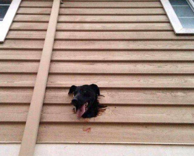 daily picdump 104 pics 12.html - 104 HD Photos | Premium Gallery 2017