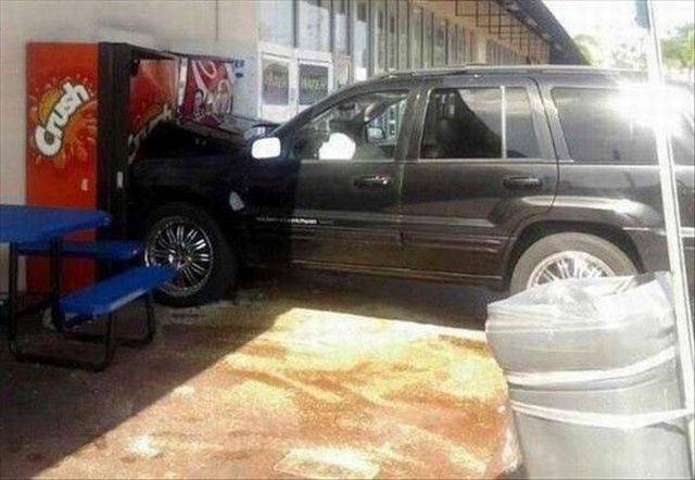 daily picdump 104 pics 12.html - 104 HD Photos | Premium Gallery 2017