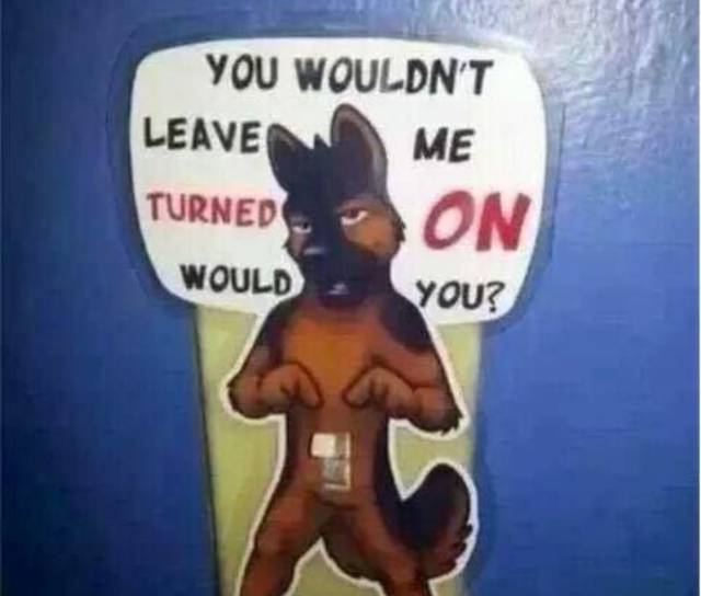 daily picdump 104 pics 12.html - 104 HD Photos | Premium Gallery 2017