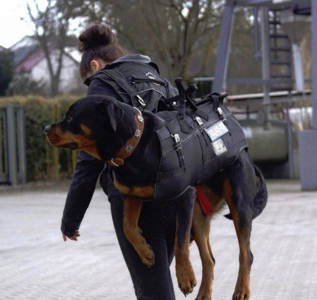 daily picdump 104 pics 12.html - 104 HD Photos | Premium Gallery 2017