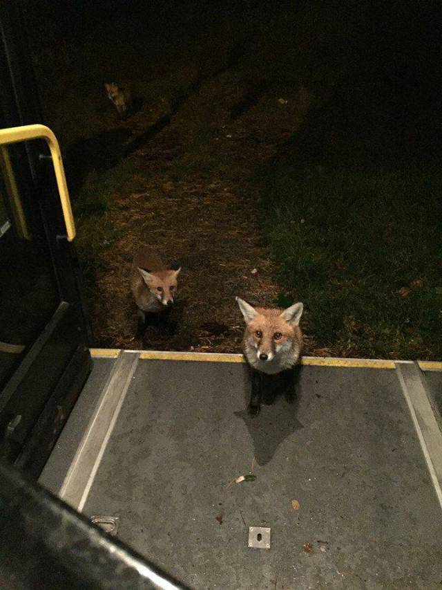 daily picdump 104 pics 12.html - 104 HD Photos | Premium Gallery 2017