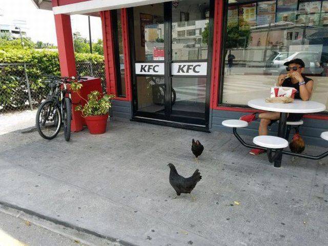 Dirty Mind, Come Here!