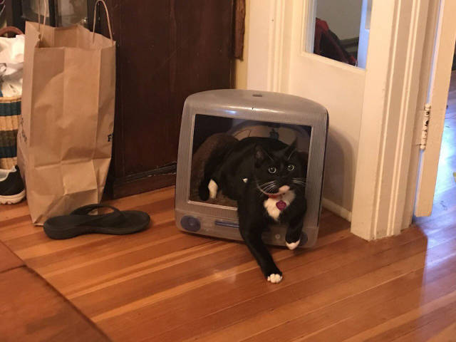 morning picdump 52 pics 20.html - 52 HD Photos | Premium Gallery 2017