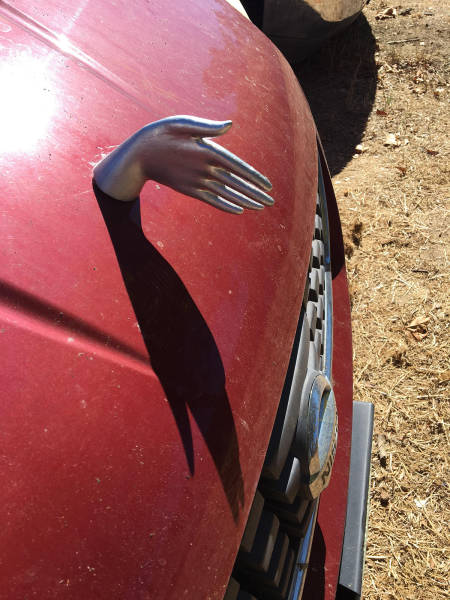 morning picdump 52 pics 20.html - 52 HD Photos | Premium Gallery 2017