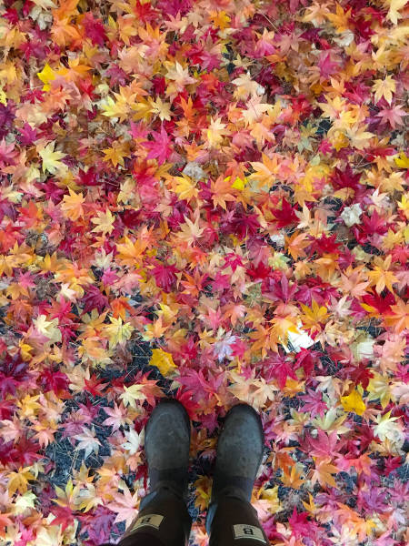 morning picdump 52 pics 20.html - 52 HD Photos | Premium Gallery 2017