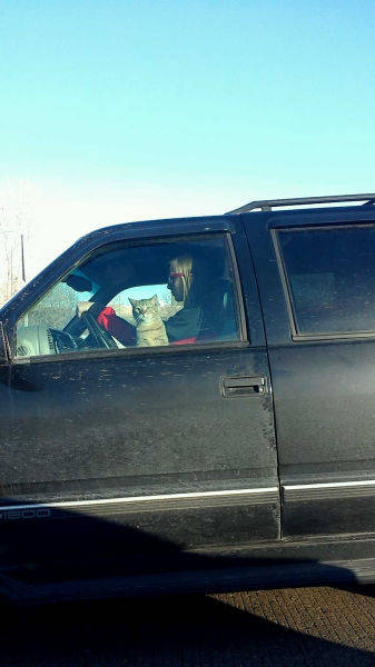 morning picdump 52 pics 20.html - 52 HD Photos | Premium Gallery 2017