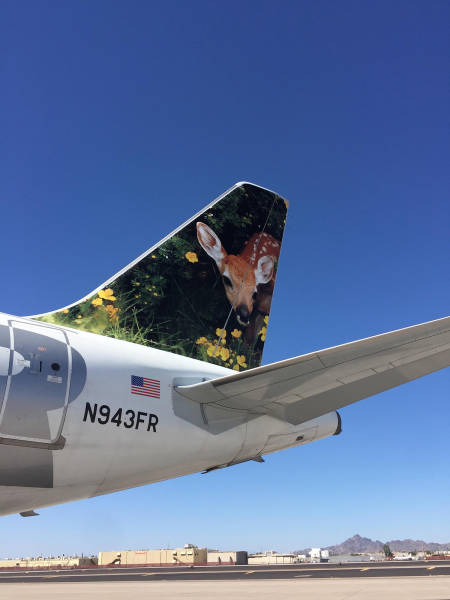 morning picdump 52 pics 20.html - 52 HD Photos | Premium Gallery 2017