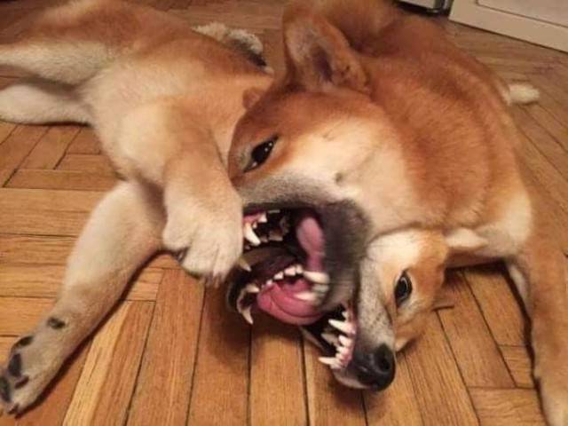 Blurry Photos Are Great As Well!