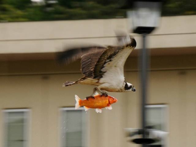 Blurry Photos Are Great As Well!