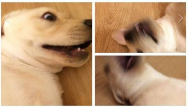 Blurry Photos Are Great As Well!