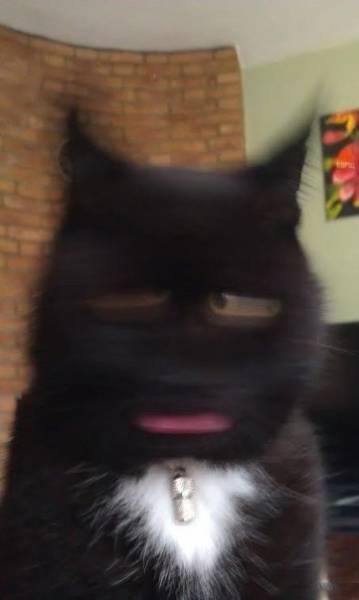 Blurry Photos Are Great As Well!