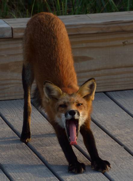 morning picdump 50 pics 8.html - 50 HD Photos | Premium Gallery 2017