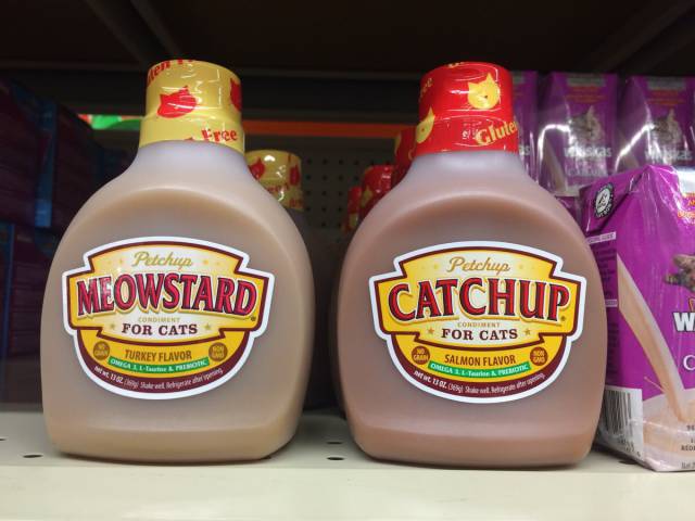 morning picdump 50 pics 8.html - 50 HD Photos | Premium Gallery 2017