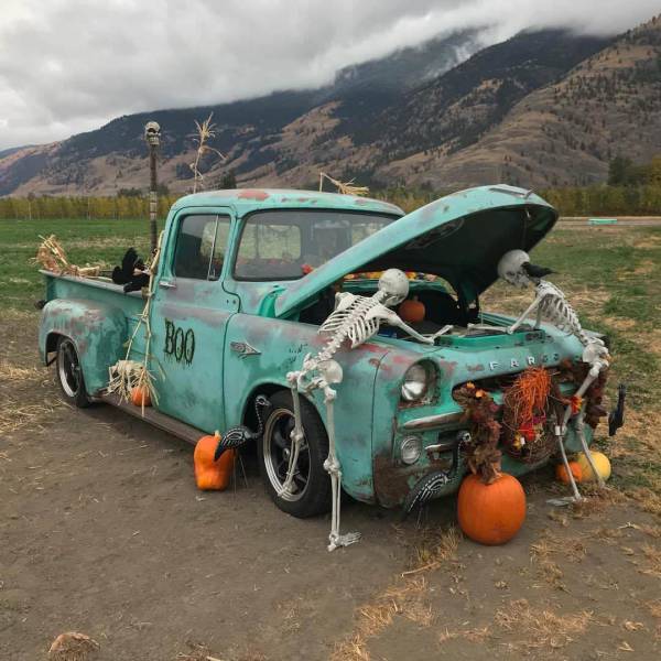 morning picdump 50 pics 8.html - 50 HD Photos | Premium Gallery 2017