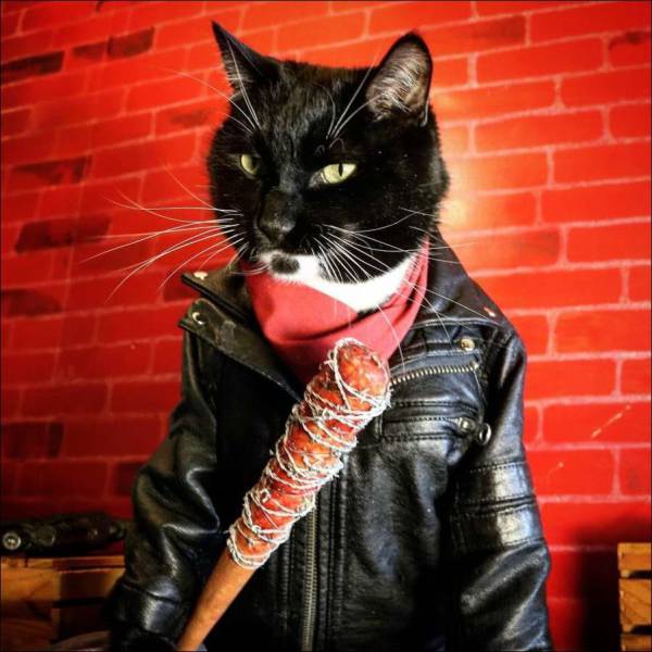 daily picdump 98 pics 13.html - 98 HD Photos | Premium Gallery 2017