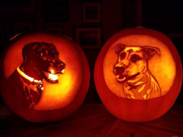 daily picdump 98 pics 13.html - 98 HD Photos | Premium Gallery 2017