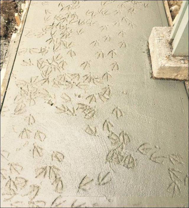 daily picdump 98 pics 13.html - 98 HD Photos | Premium Gallery 2017