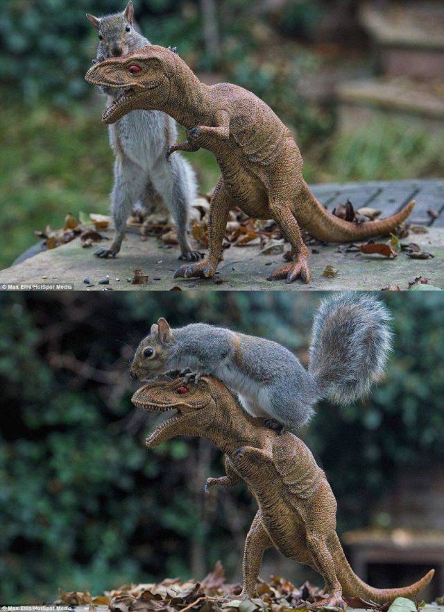 daily picdump 98 pics 13.html - 98 HD Photos | Premium Gallery 2017