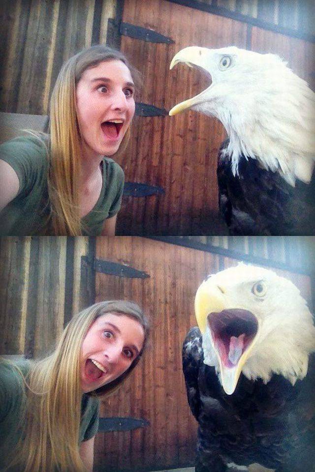 daily picdump 98 pics 13.html - 98 HD Photos | Premium Gallery 2017