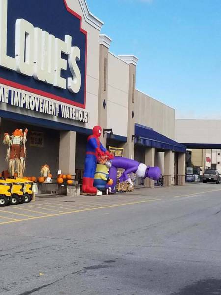 morning picdump 50 pics 8.html - 50 HD Photos | Premium Gallery 2017