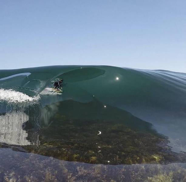 daily picdump weekend edition 73 pics 24.html - 73 HD Photos | Premium Gallery 2017