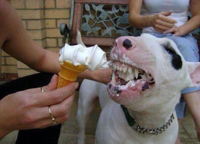 daily picdump weekend edition 73 pics 24.html - 73 HD Photos | Premium Gallery 2017