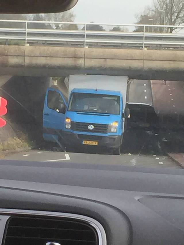 daily picdump weekend edition 73 pics 24.html - 73 HD Photos | Premium Gallery 2017