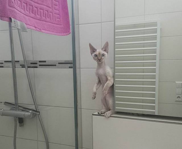 daily picdump 101 pics 2.html - 101 HD Photos | Premium Gallery 2017