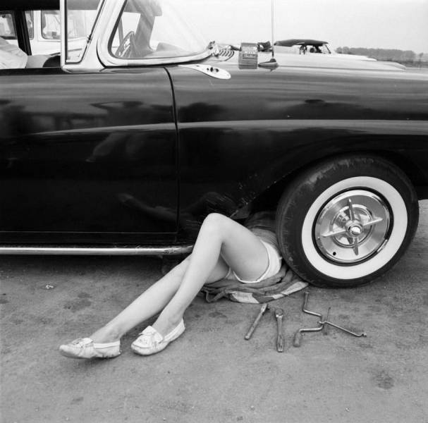 daily picdump 101 pics 2.html - 101 HD Photos | Premium Gallery 2017