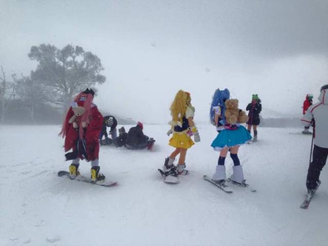 daily picdump 101 pics 2.html - 101 HD Photos | Premium Gallery 2017