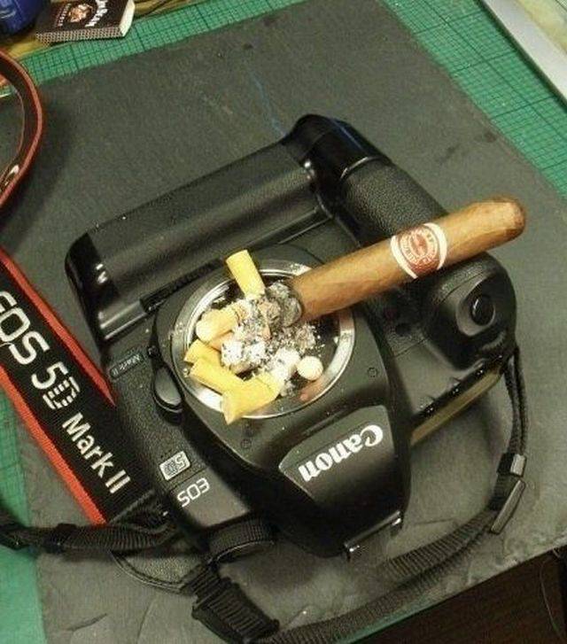 daily picdump 101 pics 2.html - 101 HD Photos | Premium Gallery 2017