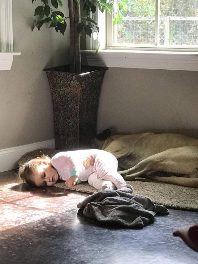 daily picdump 101 pics 2.html - 101 HD Photos | Premium Gallery 2017