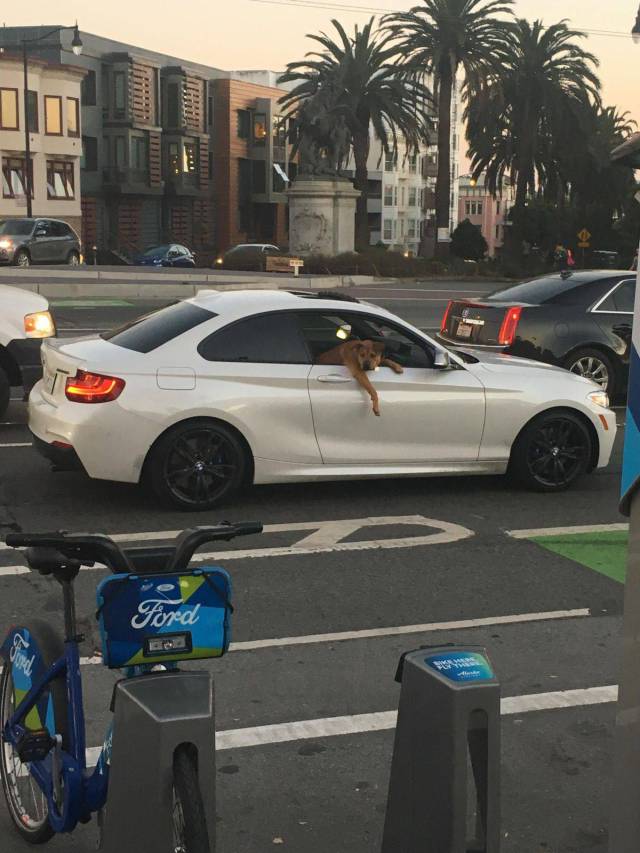 daily picdump 101 pics 2.html - 101 HD Photos | Premium Gallery 2017