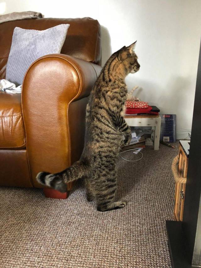 daily picdump 101 pics 2.html - 101 HD Photos | Premium Gallery 2017