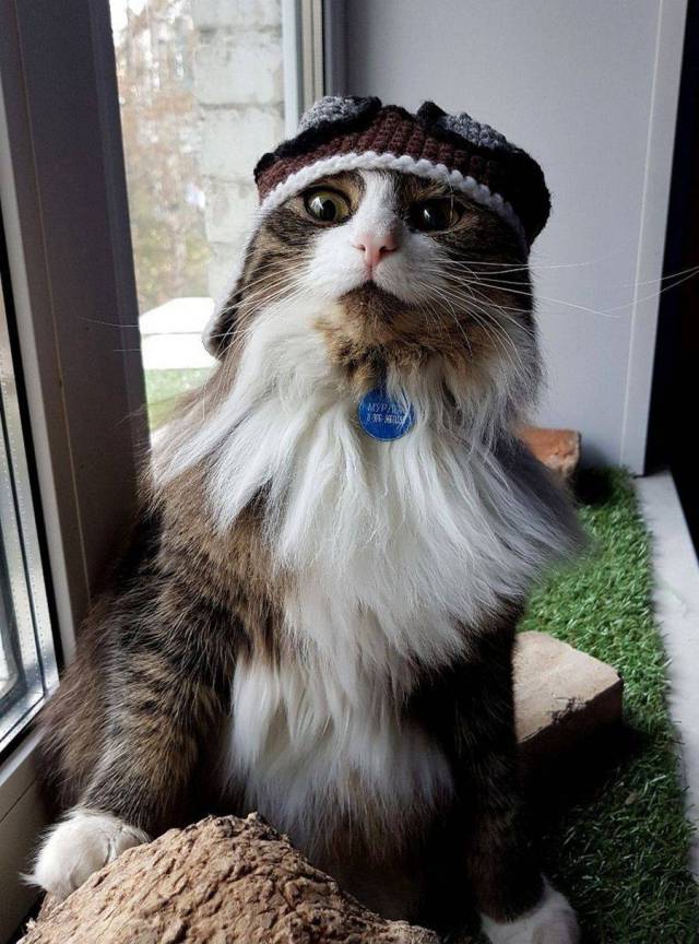 daily picdump 101 pics 2.html - 101 HD Photos | Premium Gallery 2017