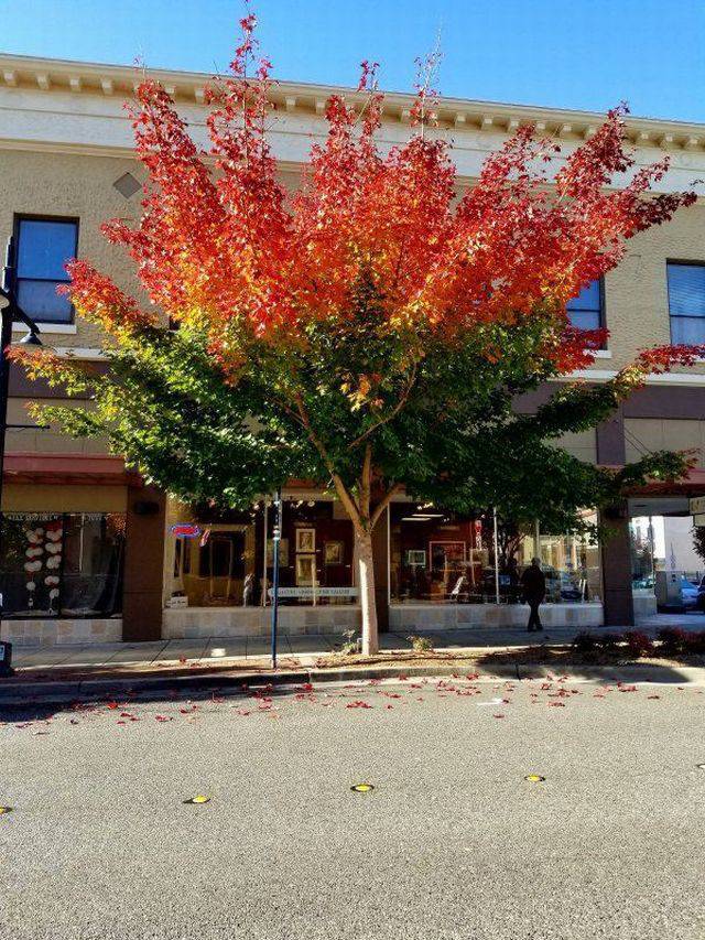 daily picdump 101 pics 2.html - 101 HD Photos | Premium Gallery 2017