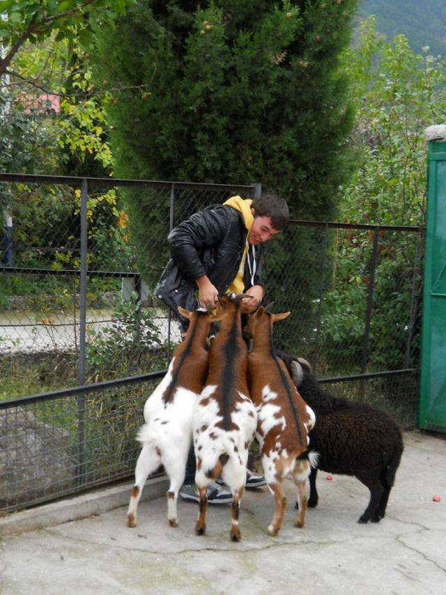 daily picdump 101 pics 2.html - 101 HD Photos | Premium Gallery 2017