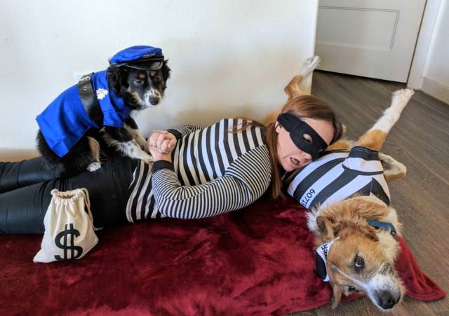 Daily Picdump