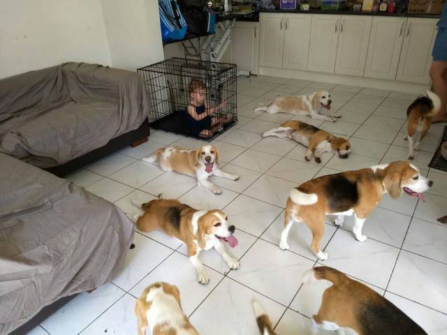 Daily Picdump