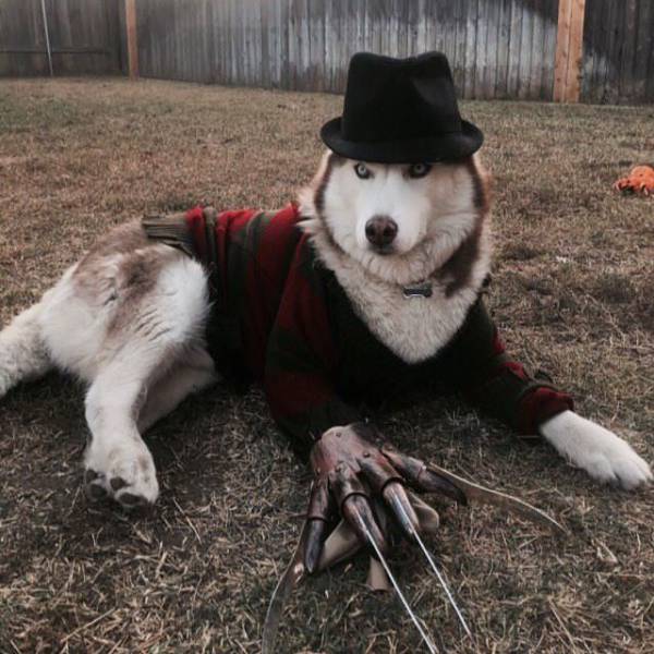Daily Picdump