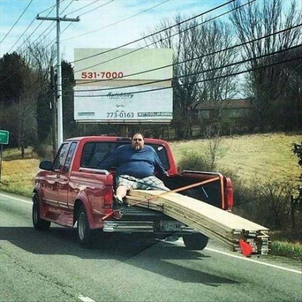 Daily Picdump