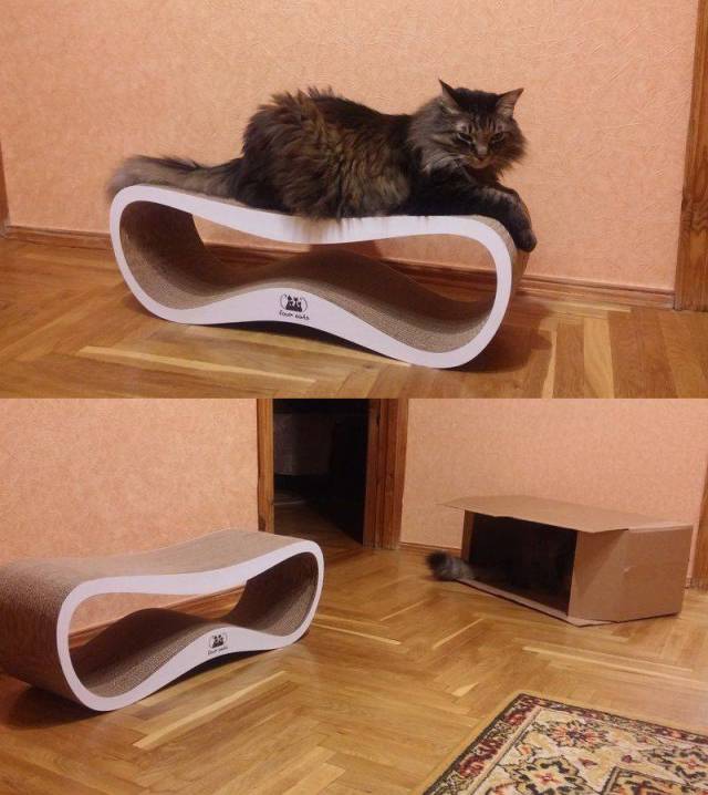 daily picdump 99 pics 12.html - 99 HD Photos | Premium Gallery 2017