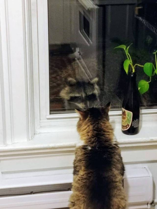 daily picdump 99 pics 12.html - 99 HD Photos | Premium Gallery 2017