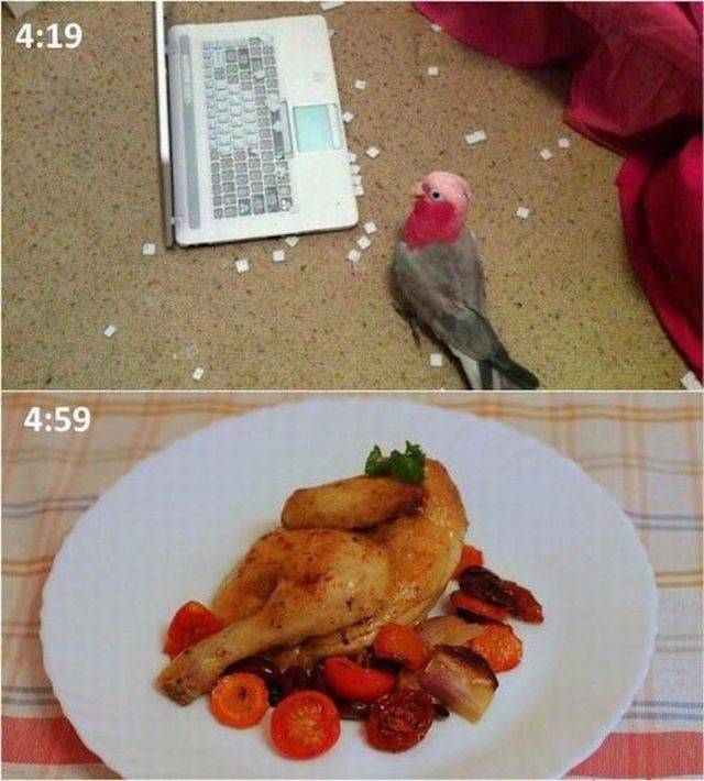 daily picdump 99 pics 12.html - 99 HD Photos | Premium Gallery 2017