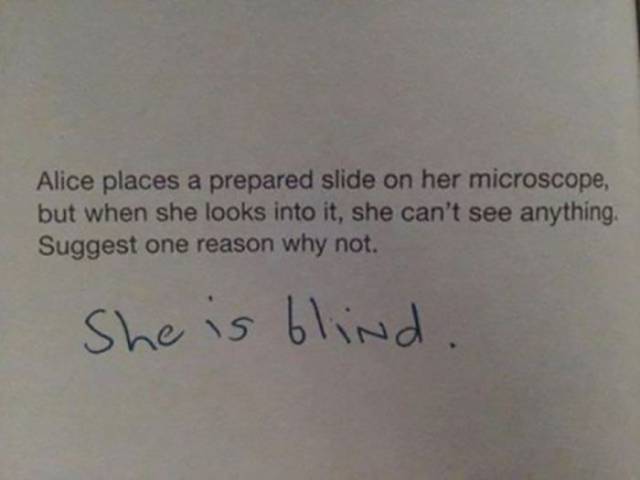 Hmm, These Are Really Clever!