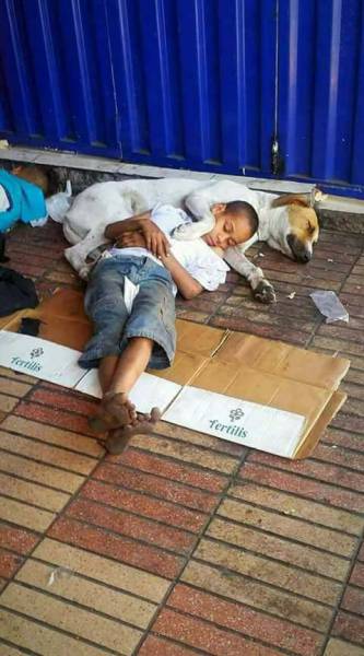 morning picdump 51 pics 18.html - 51 HD Photos | Premium Gallery 2017