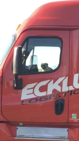 morning picdump 51 pics 18.html - 51 HD Photos | Premium Gallery 2017