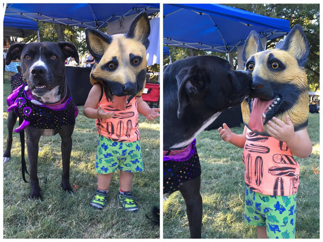 morning picdump 51 pics 18.html - 51 HD Photos | Premium Gallery 2017